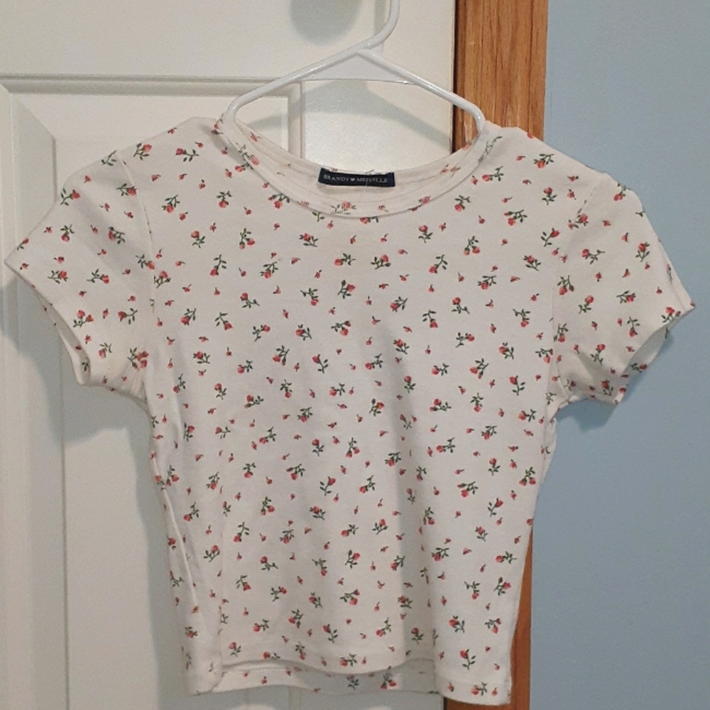 Brandy Melville Floral Ashlyn Baby Tee Top